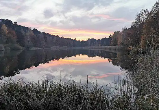 Hotels in der Nähe von Naturschutzgebiet Vogelwoog-Schmalzwoog