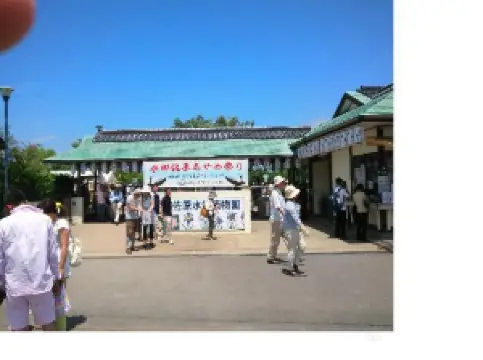 Suigo Sawara Ayame Park