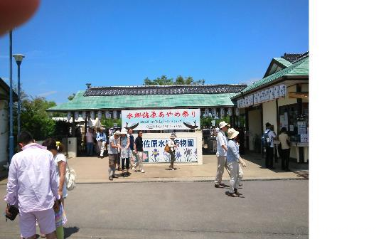 Suigo Sawara Ayame Park