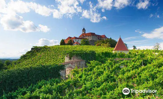 Riegersburg Castle