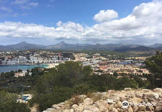 Archäologischer Park - Puig de sa morisca