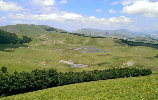 Alta Montagna Bio s.s.