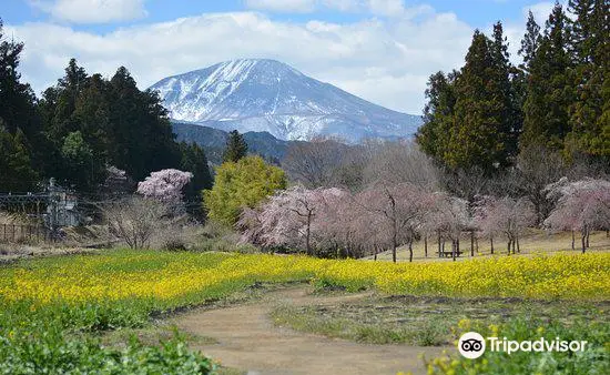 日光だいや川公園