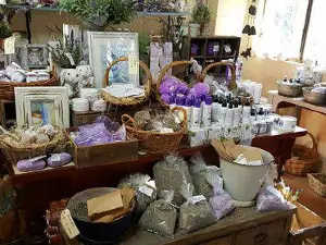 Pottique Lavender Farm