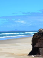 Bundjalung National Park