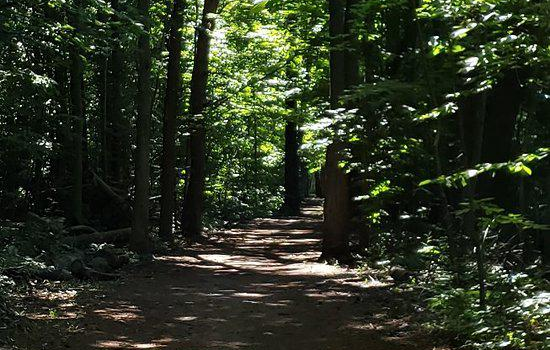 Casey Park
