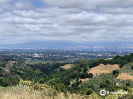 Mercedes-Benz of Stevens Creek