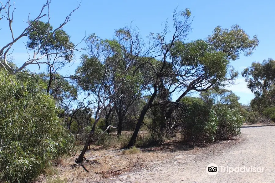 Aldinga Conservation Park