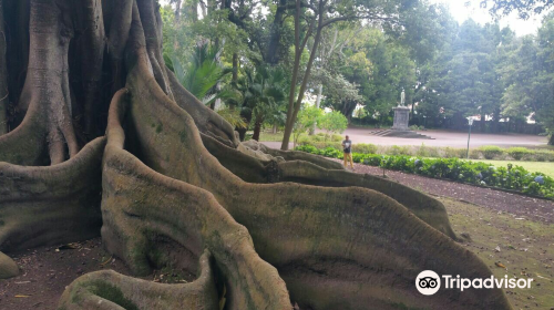 Jose do Canto Botanical Garden