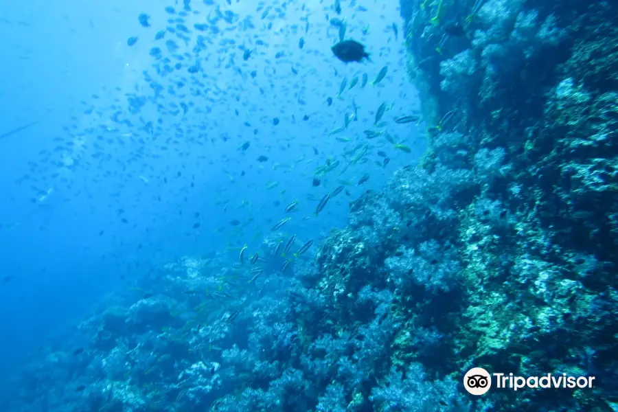 Namloo Divers - Day Diving