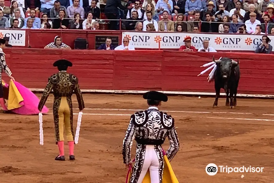 Monumental Plaza de Toros México