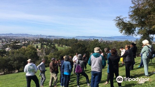 Piedmont Funeral Services and Mountain View Cemetery