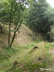 The Site of Oshima Castle (Daijo Park)