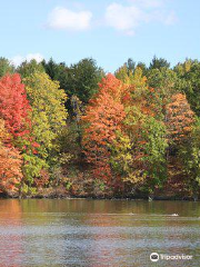 Milne Dam Conservation Park