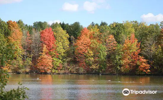 Milne Dam Conservation Park