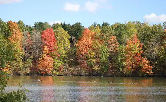 Hotels in der Nähe von Milne Dam Conservation Park