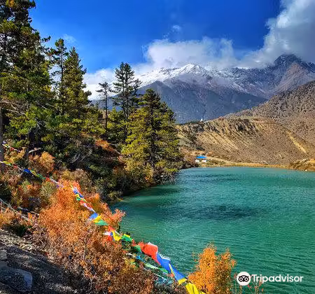 Vol ${{cityDName}} Jomoson