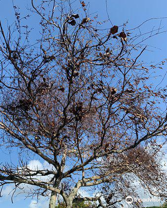 Guyana National Park Reisefuhrer Sehenswurdigkeiten In Die Man Gesehen Haben Muss Nahe Gelegene Sehenswurdigkeiten In Guyana National Park Trip Com
