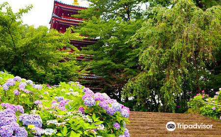 Hondoji Temple