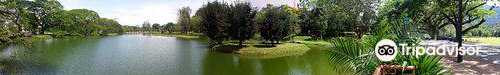 Taiping Lake Gardens