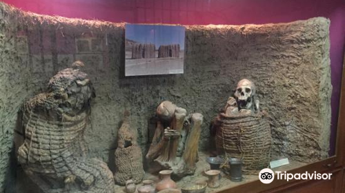 Museo Arqueologico de la Universidad