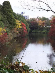 Takaoka Castle Ruins