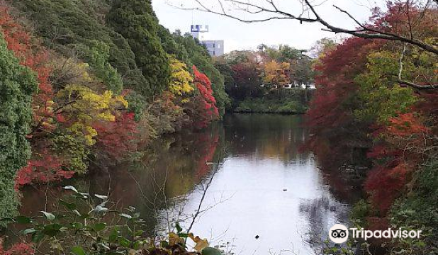 Takaoka Castle Ruins