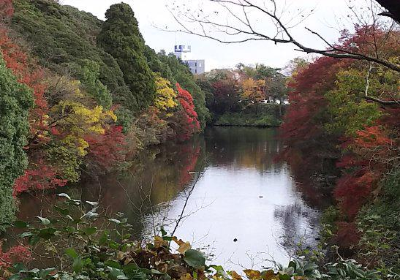 Takaoka Castle Remains