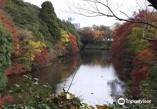Takaoka Castle Ruins