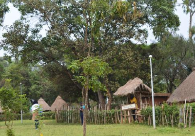 Kitale