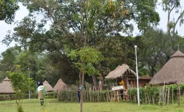 Kitale