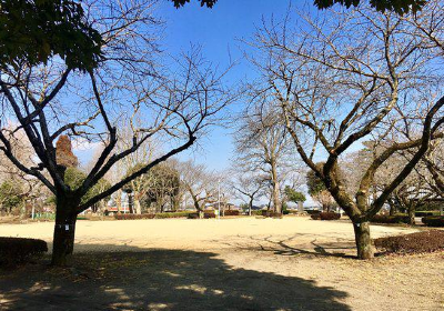 Yukijo Castle Site Park