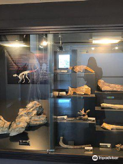 Museo de Dinosaurios de Arén