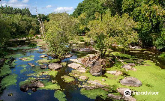 Parque do Mino