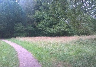 Crackley Woods Nature Reserve