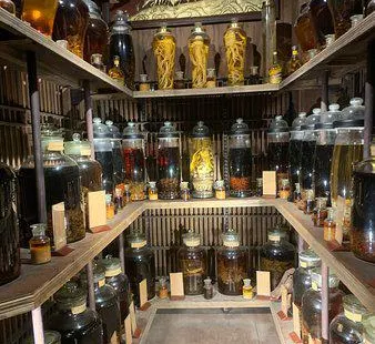 Fito Museum - Museums of Traditional Vietnamese Medicine & Pharmacy