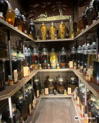 Fito Museum - Museums of Traditional Vietnamese Medicine & Pharmacy