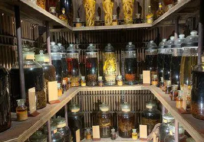 Chánh Phú Hoà