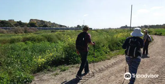 Hotem Hacarmel Nature Reserve