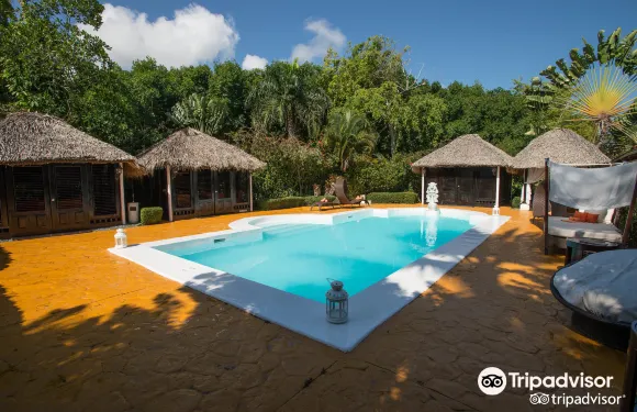 帕拉迪蘇斯全包度假村-蓬塔卡納