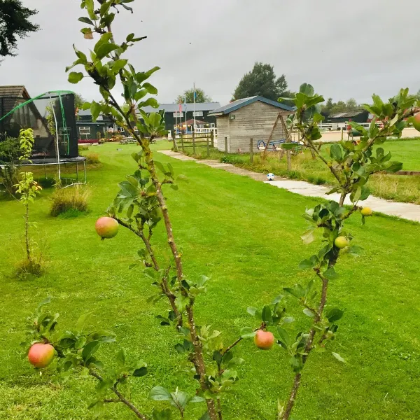 Scottish Equi B&B - Housity