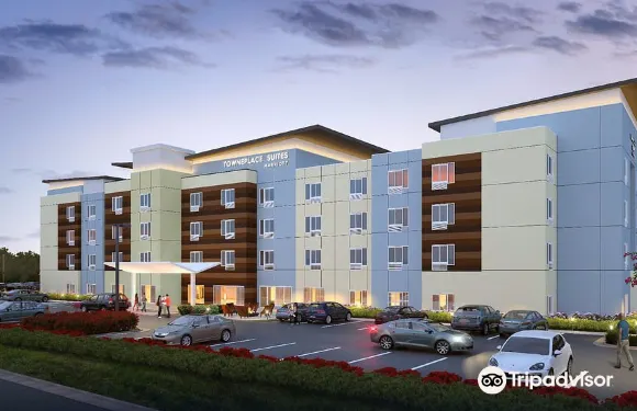 多森TownePlace套房酒店