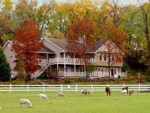 The Speckled Hen Inn B&B