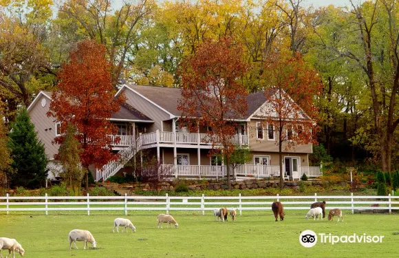 斑點母雞酒店B&B