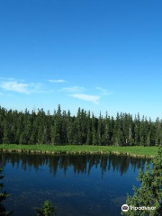 Kerry Wood Nature Centre