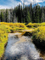 Medicine Bow-Routt National Forests and Thunder Basin National Grassland