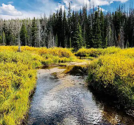 Hotels near Medicine Bow-Routt National Forests and Thunder Basin National Grassland