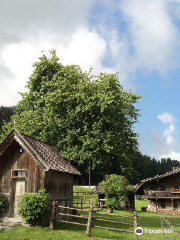 Bergbauern Museum