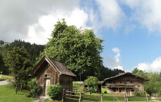 Bergbauern Museum