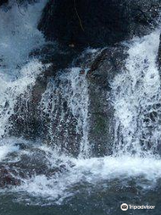 Aruvikuzhy Waterfalls